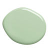 ral6019