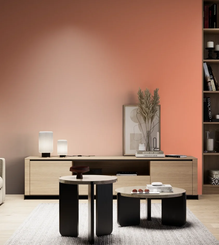 P10_SNIEZKA_salon_05_zimne_GREY_S0550-Y70R