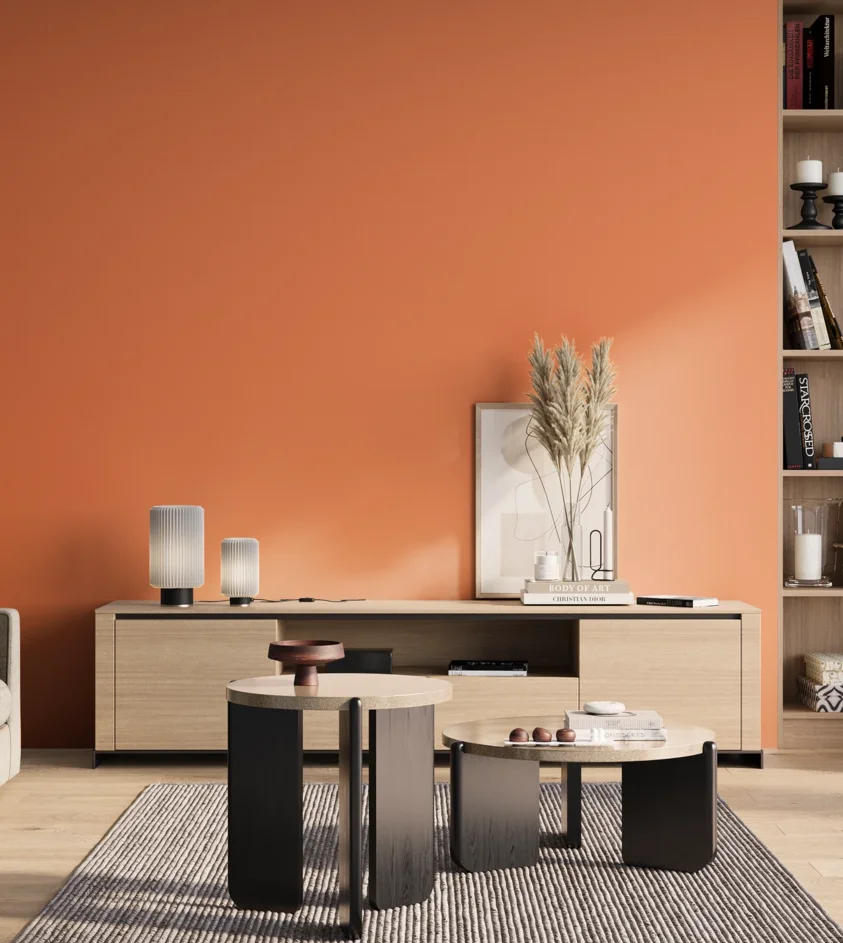 P10_SNIEZKA_salon_01_poranek_GREY_S0560-Y60R