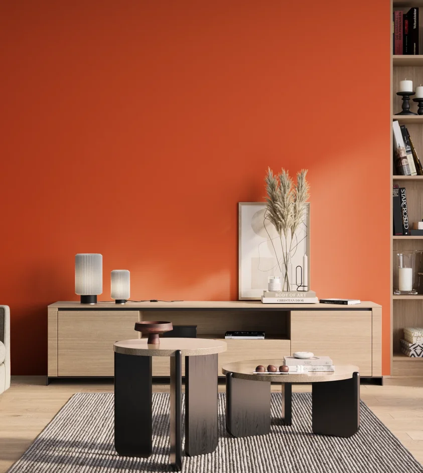 P10_SNIEZKA_salon_01_poranek_GREY_S0585-Y70R