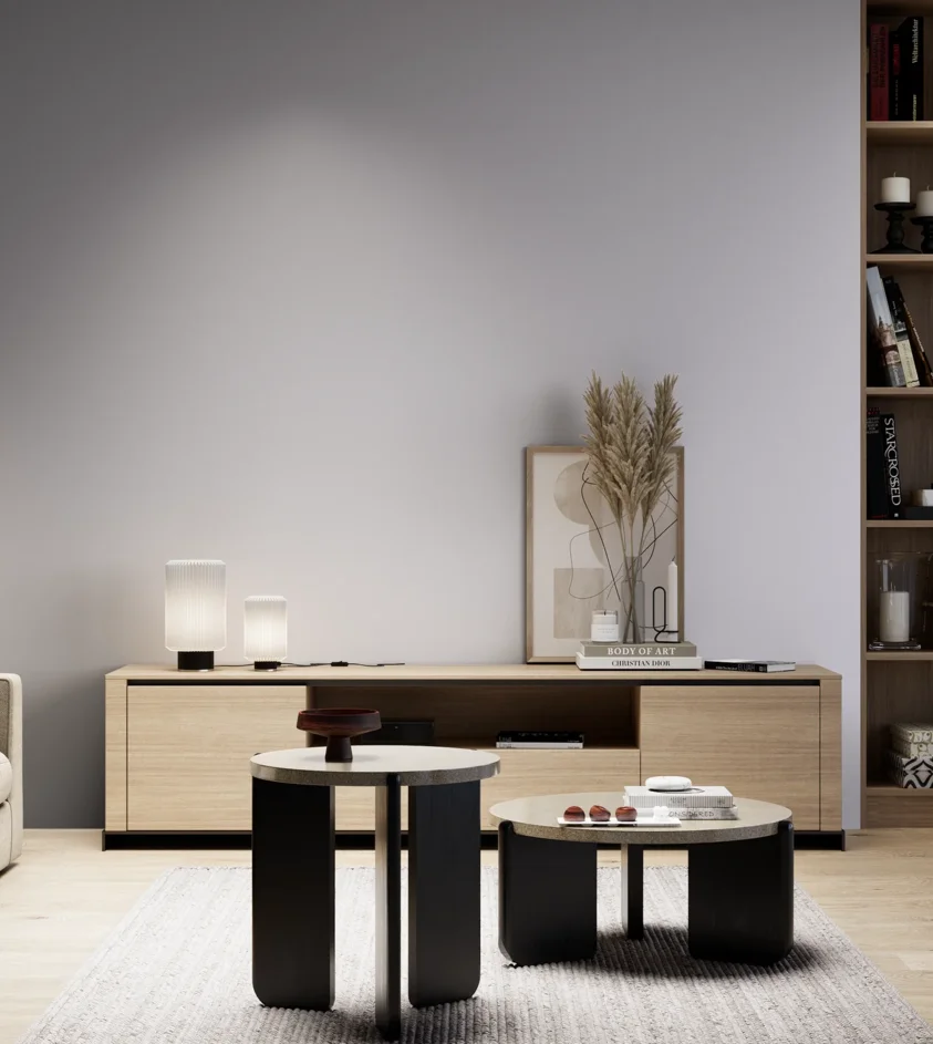 P10_SNIEZKA_salon_05_zimne_GREY_S1010-R60B