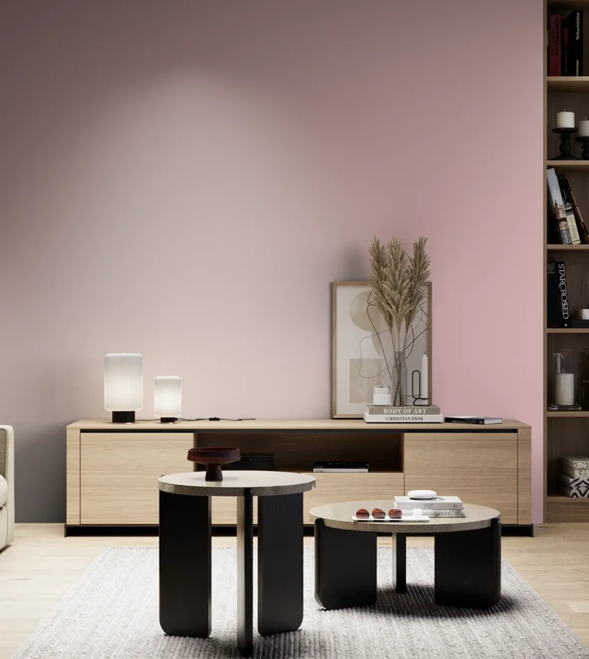 P10_SNIEZKA_salon_05_zimne_GREY_S1020-R10B