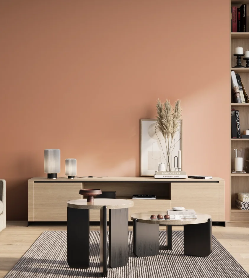 P10_SNIEZKA_salon_01_poranek_GREY_S1030-Y70R