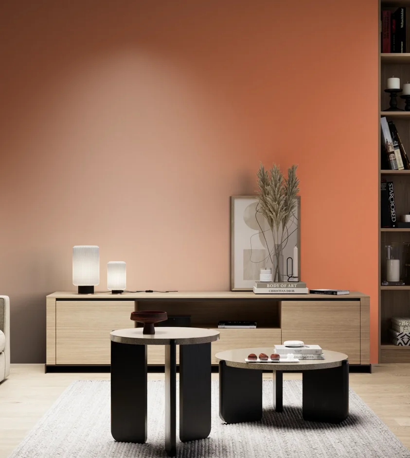 P10_SNIEZKA_salon_05_zimne_GREY_S1060-Y60R