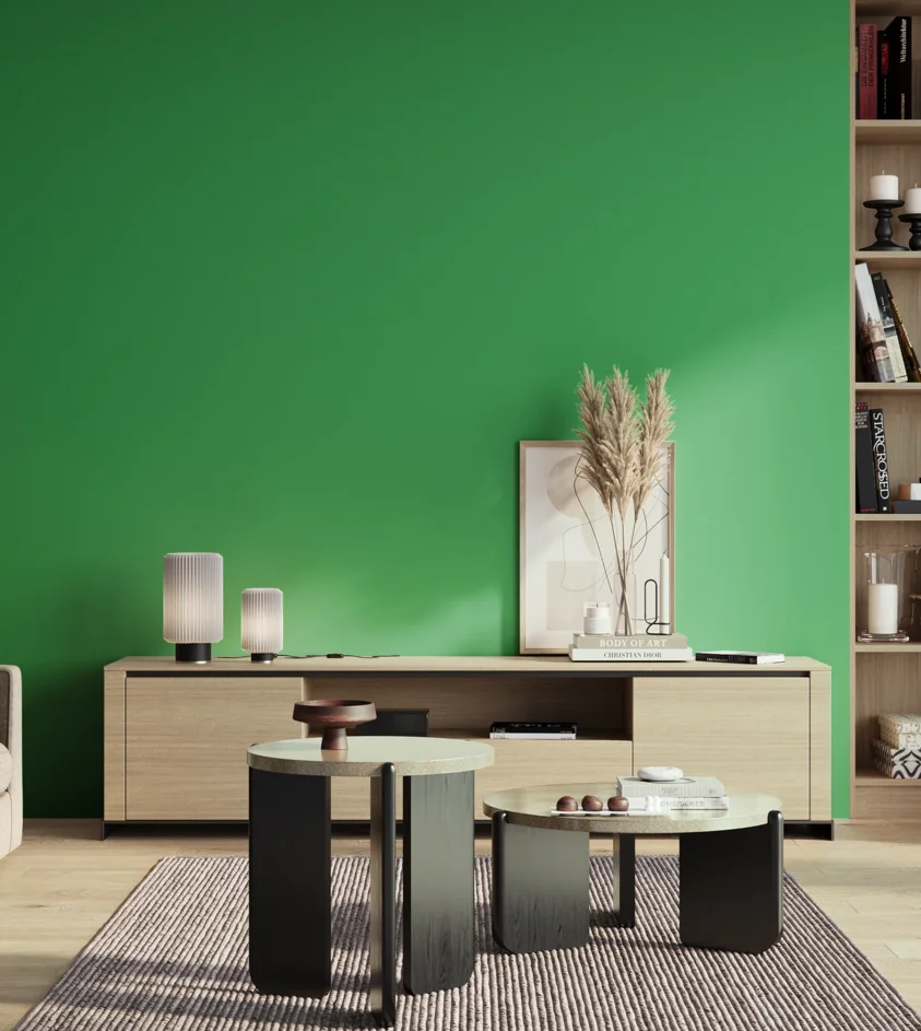P10_SNIEZKA_salon_01_poranek_GREY_S1070-G10Y