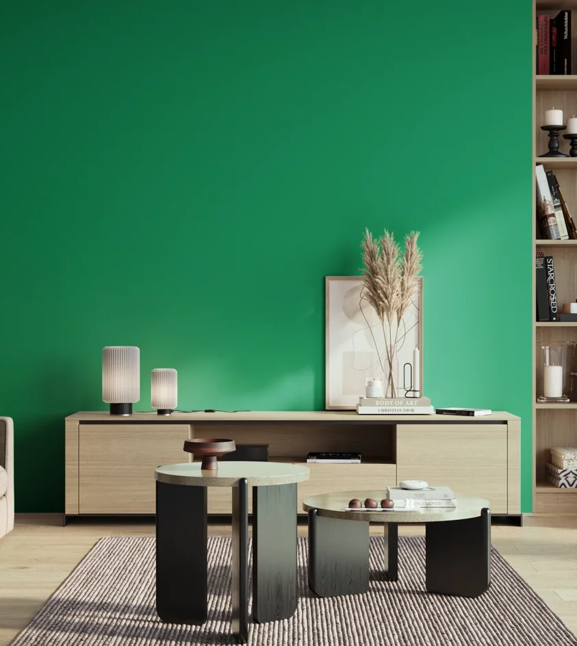 P10_SNIEZKA_salon_01_poranek_GREY_S1565-G
