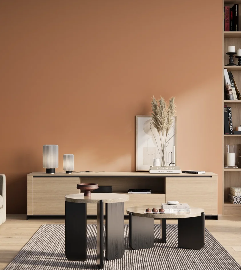 P10_SNIEZKA_salon_01_poranek_GREY_S2030-Y50R