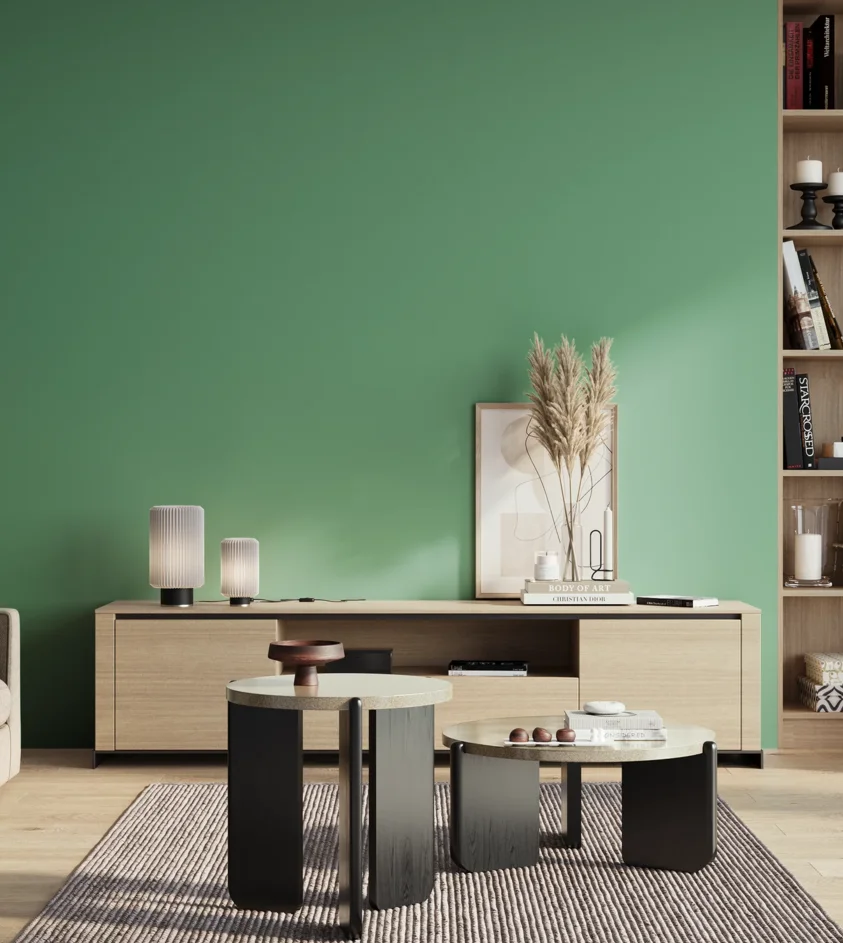 P10_SNIEZKA_salon_01_poranek_GREY_S2040-G