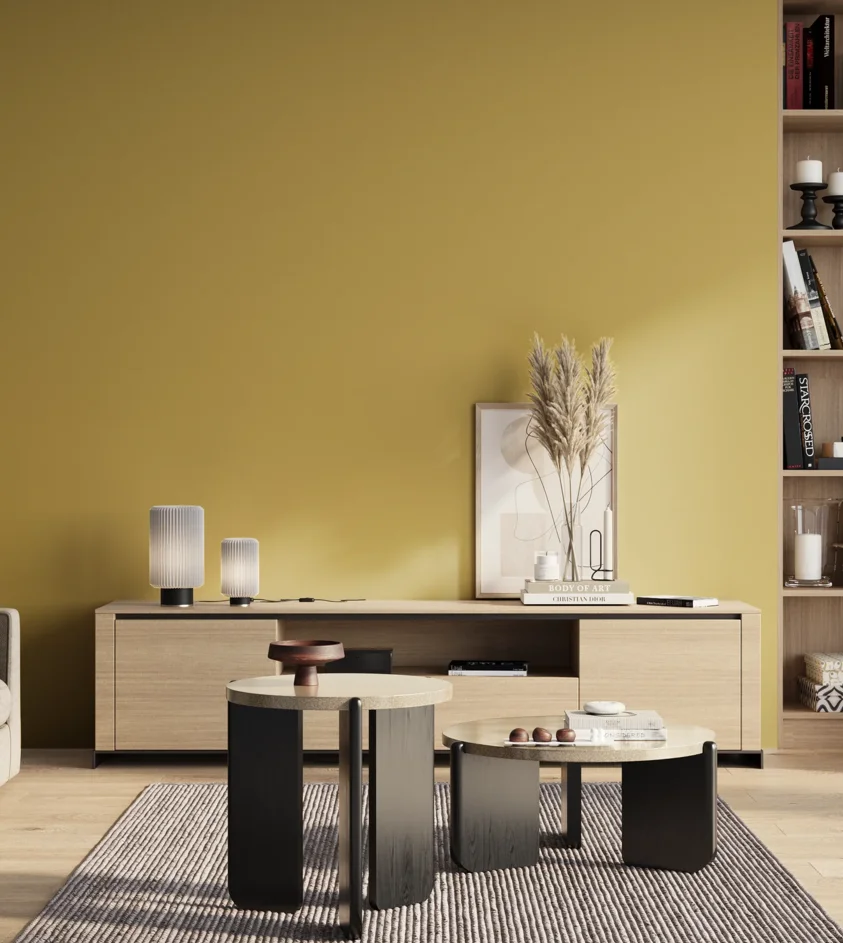P10_SNIEZKA_salon_01_poranek_GREY_S2040-Y