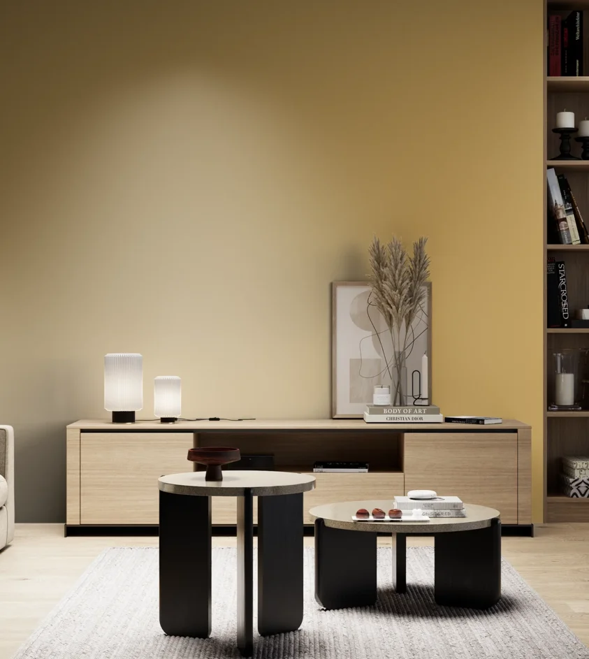 P10_SNIEZKA_salon_05_zimne_GREY_S2040-Y10R