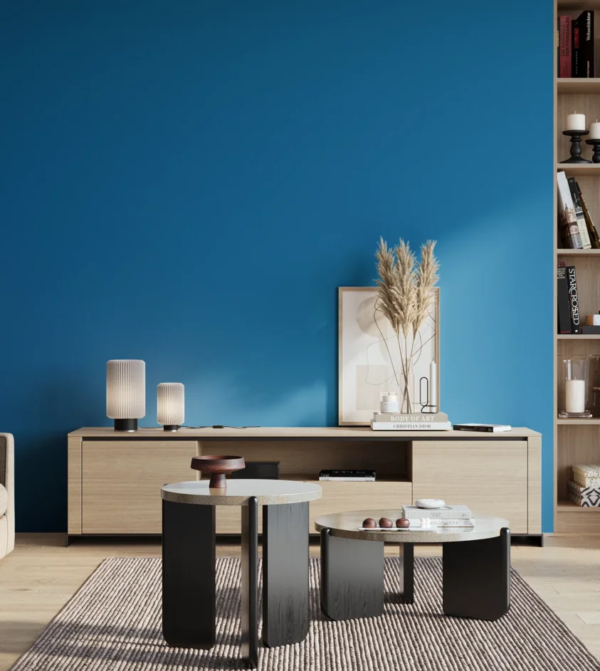 P10_SNIEZKA_salon_01_poranek_GREY_S2065-R90B