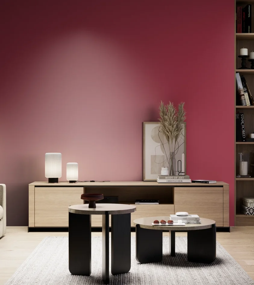 P10_SNIEZKA_salon_05_zimne_GREY_S2070-R10B