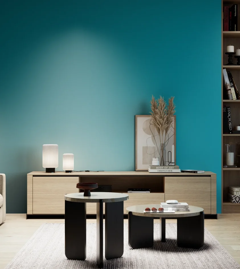 P10_SNIEZKA_salon_05_zimne_GREY_S2555-B20G