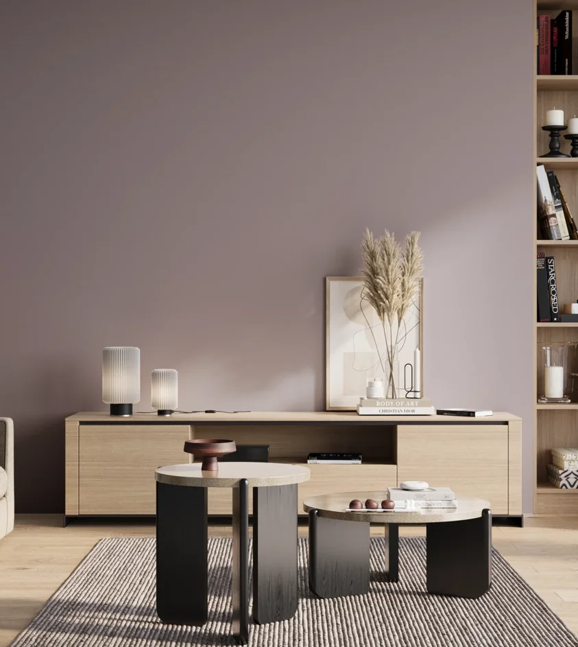 P10_SNIEZKA_salon_01_poranek_GREY_S3010-R40B
