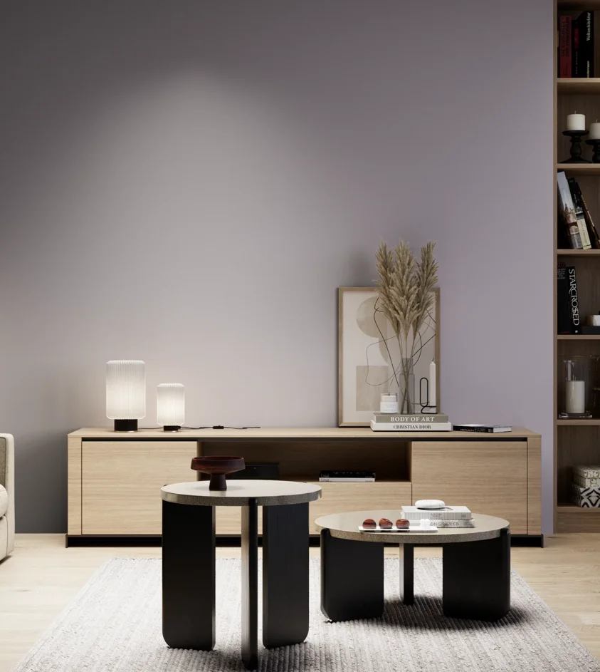 P10_SNIEZKA_salon_05_zimne_GREY_S3010-R50B