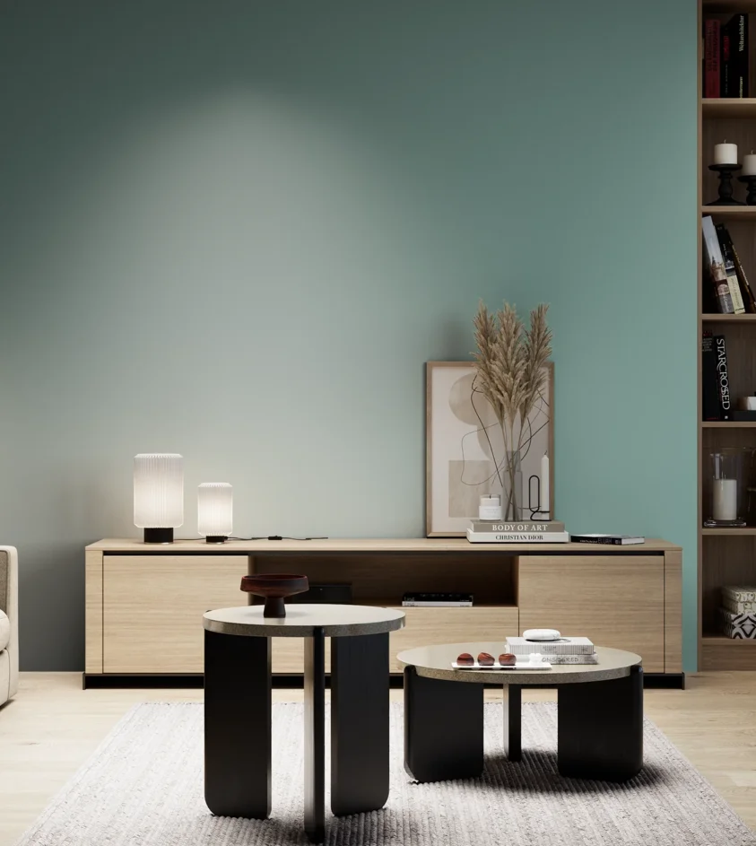 P10_SNIEZKA_salon_05_zimne_GREY_S3020-B60G
