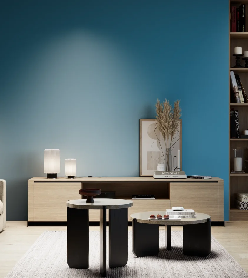 P10_SNIEZKA_salon_05_zimne_GREY_S3050-B