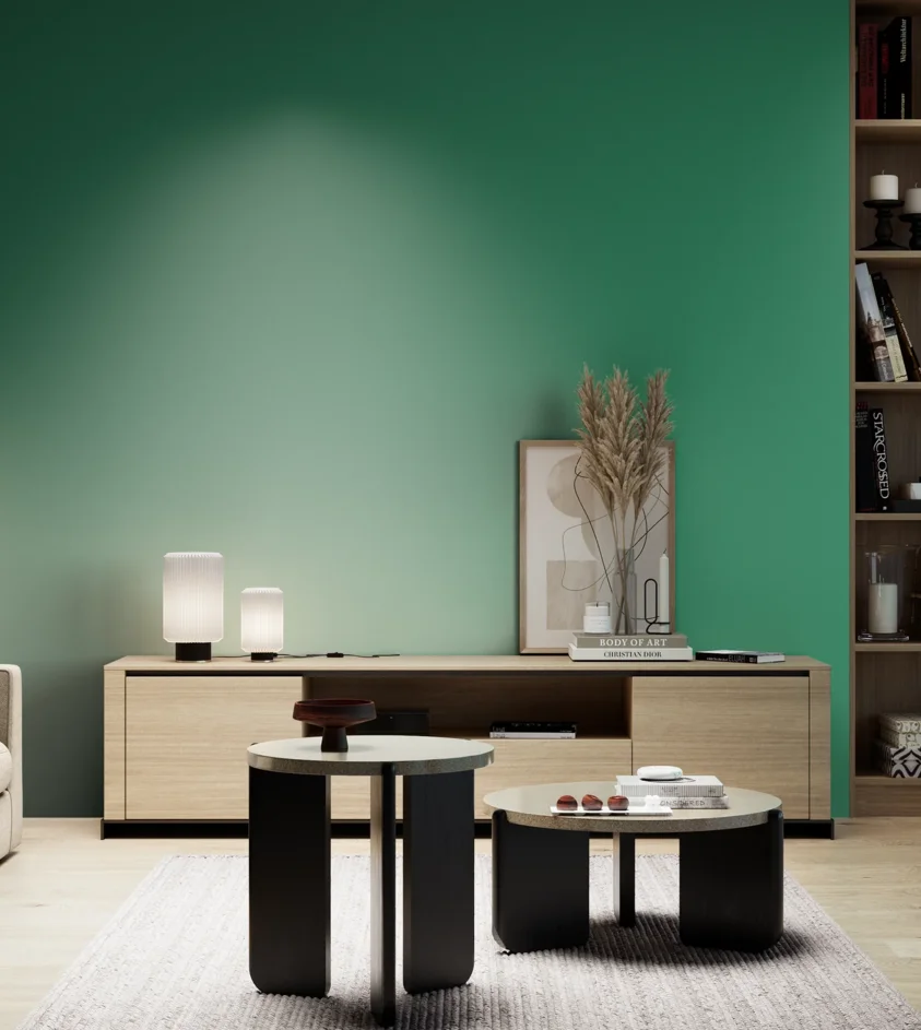 P10_SNIEZKA_salon_05_zimne_GREY_S3050-G