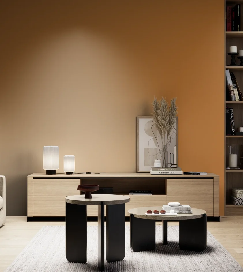 P10_SNIEZKA_salon_05_zimne_GREY_S3060-Y30R