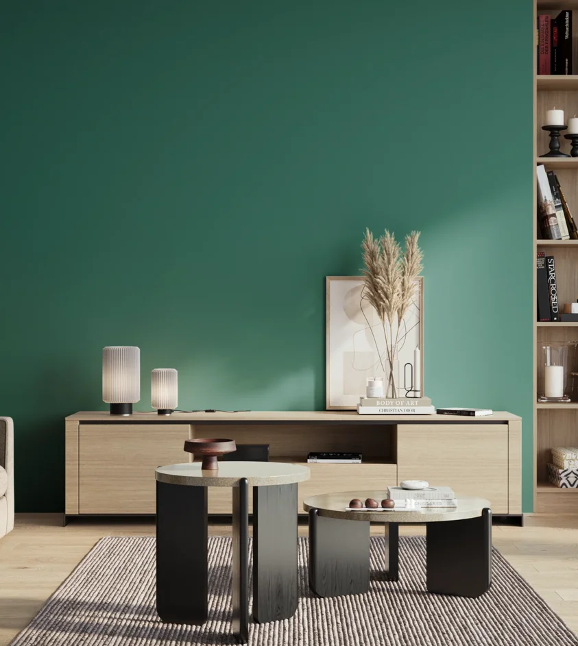 P10_SNIEZKA_salon_01_poranek_GREY_S4040-B70G