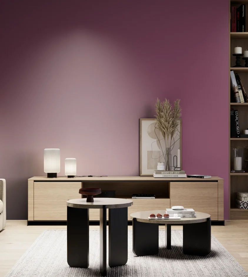 P10_SNIEZKA_salon_05_zimne_GREY_S4040-R30B