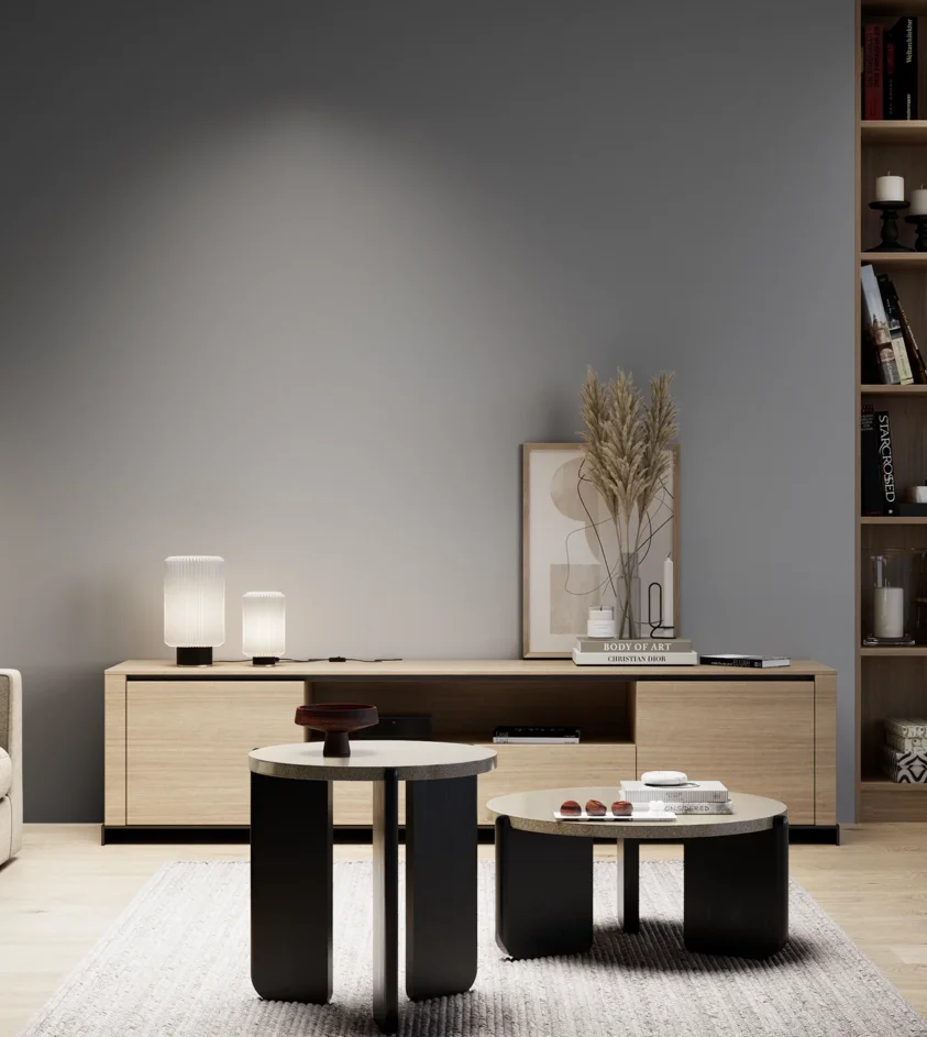P10_SNIEZKA_salon_05_zimne_GREY_S5005-R80B