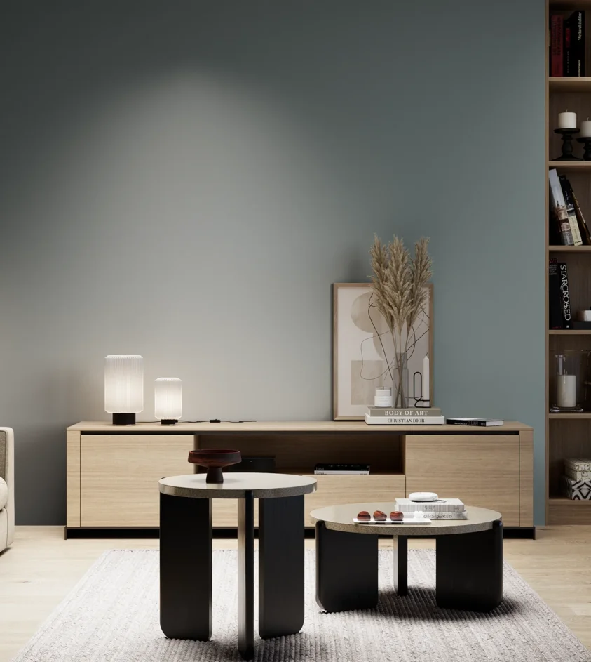 P10_SNIEZKA_salon_05_zimne_GREY_S5010-B30G