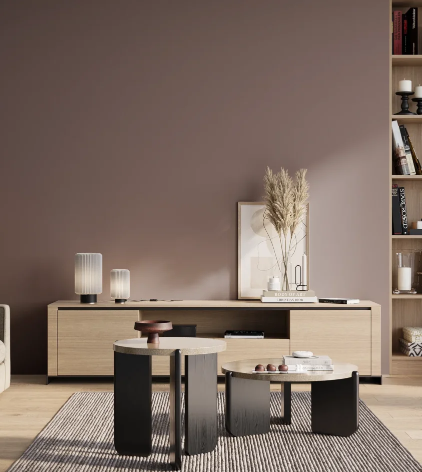 P10_SNIEZKA_salon_01_poranek_GREY_S5010-R10B