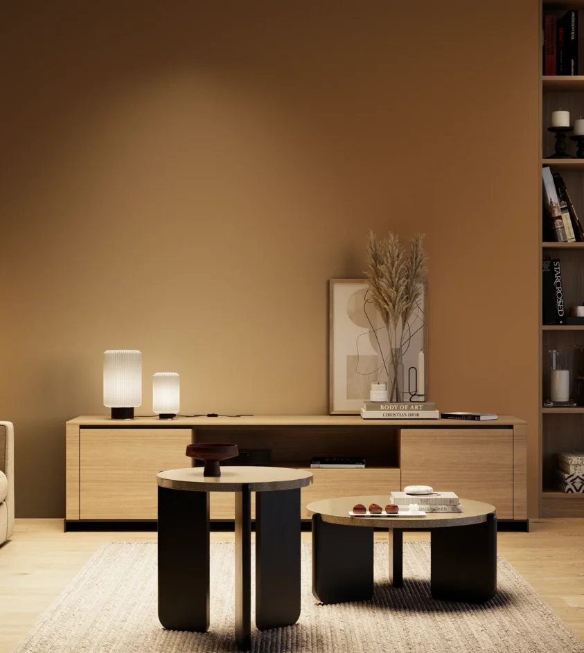 P10_SNIEZKA_salon_04_cieple_GREY_S5040-Y30R