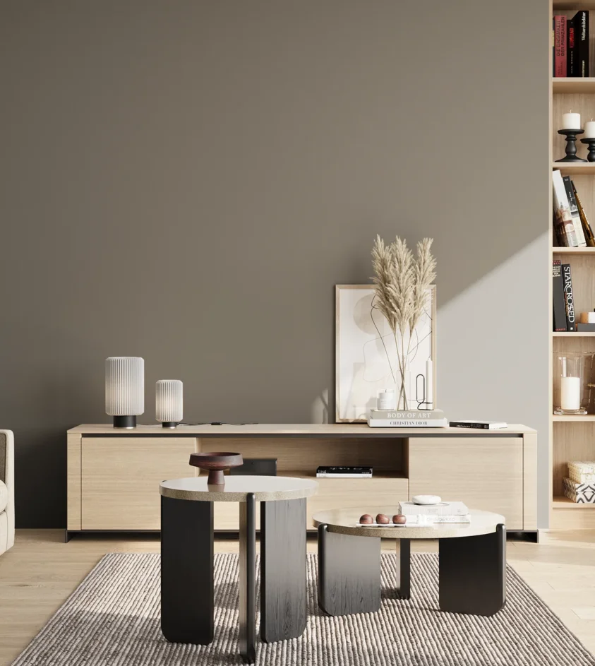 P10_SNIEZKA_salon_02_poludnie_GREY_S5502-Y