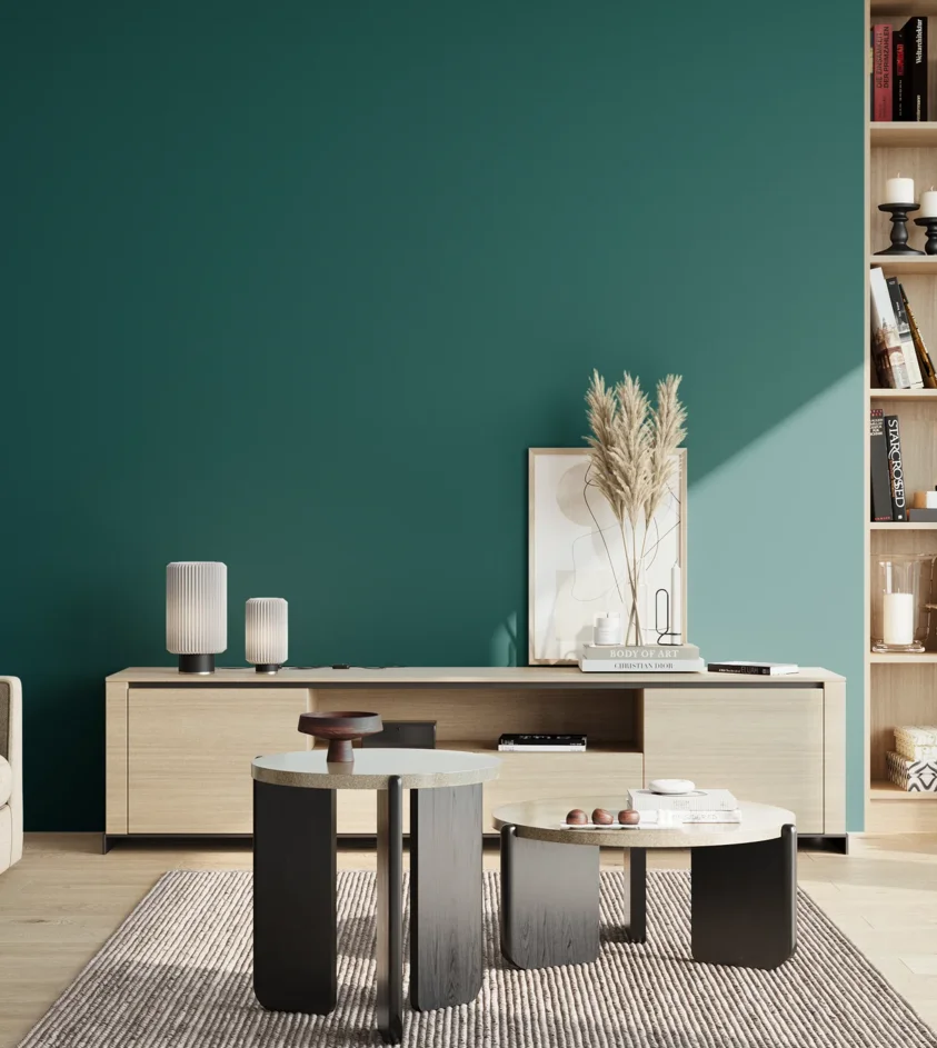 P10_SNIEZKA_salon_02_poludnie_GREY_S5540-B40G