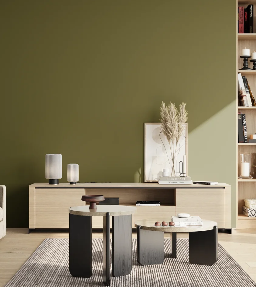 P10_SNIEZKA_salon_02_poludnie_GREY_S5540-G60Y