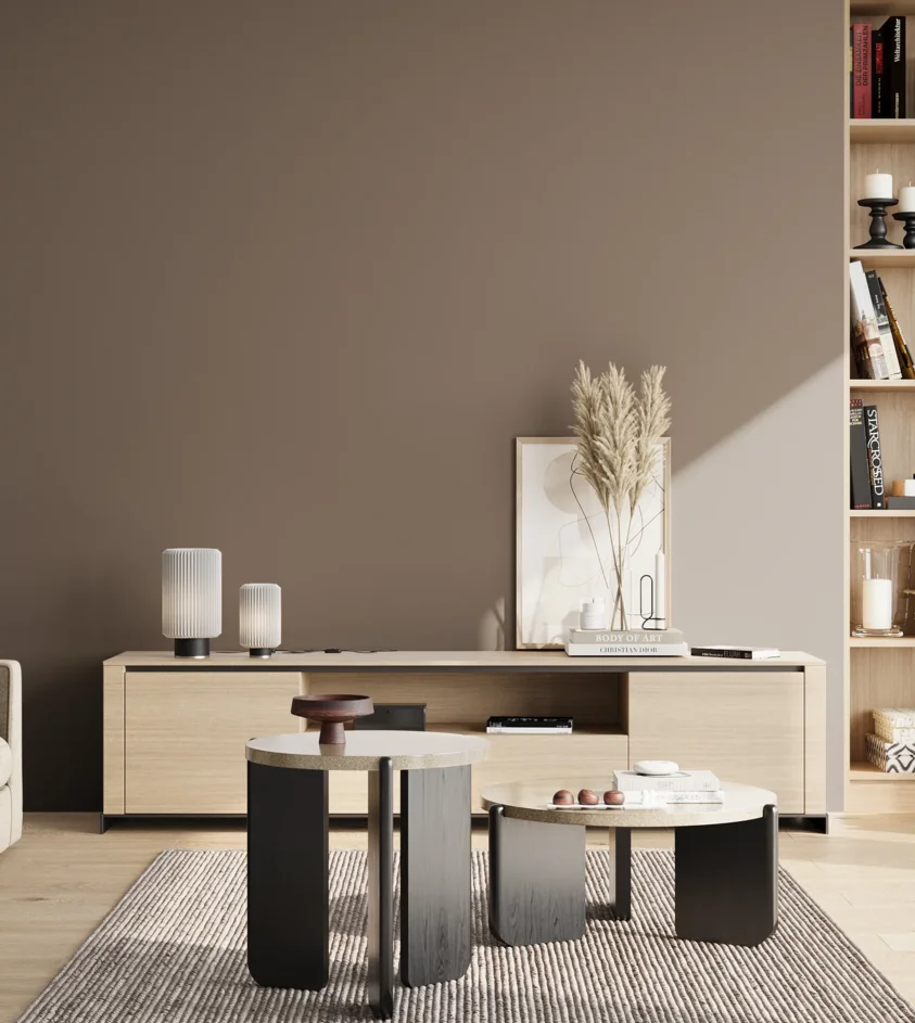 P10_SNIEZKA_salon_02_poludnie_GREY_S6005-Y50R