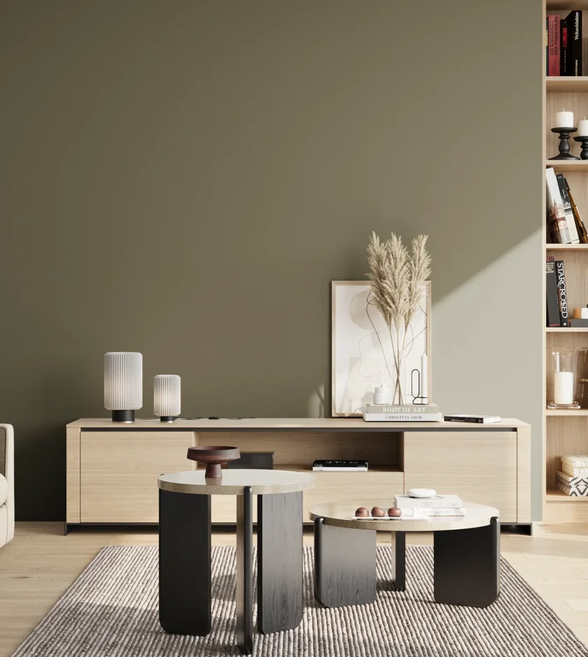 P10_SNIEZKA_salon_02_poludnie_GREY_S6010-G70Y