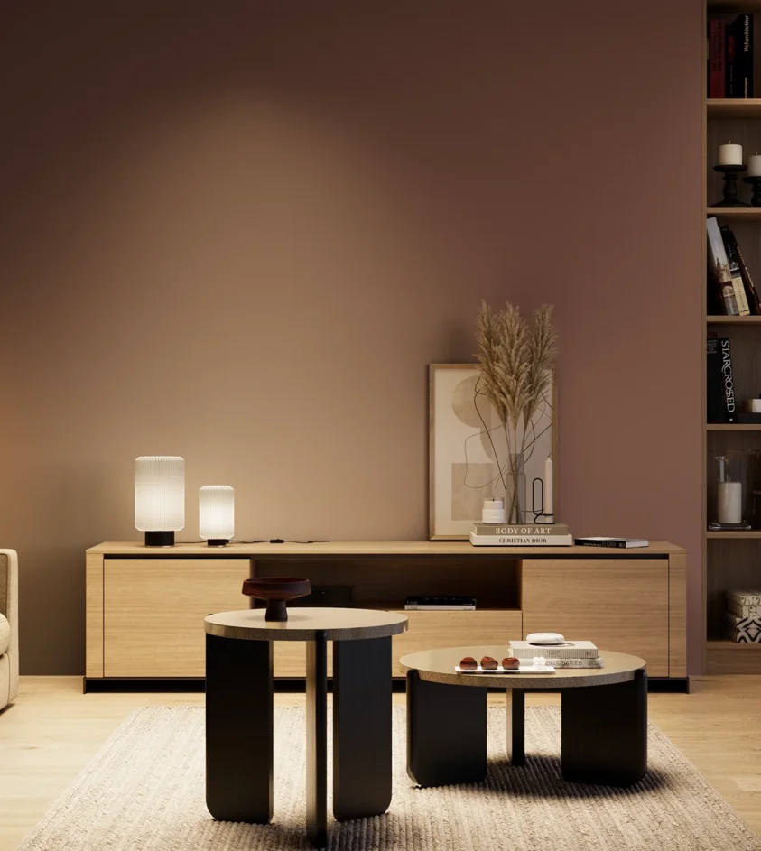 P10_SNIEZKA_salon_04_cieple_GREY_S6020-Y90R