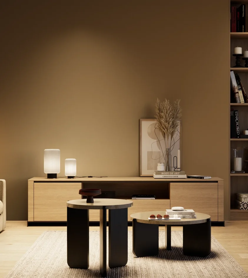 P10_SNIEZKA_salon_04_cieple_GREY_S6030-Y20R