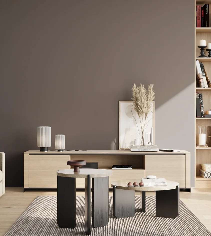 P10_SNIEZKA_salon_02_poludnie_GREY_S6502-R