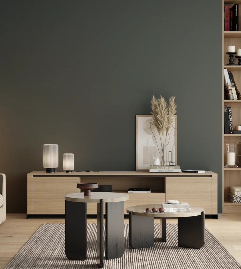 P10_SNIEZKA_salon_00_neutral_GREY_S7010-B30G