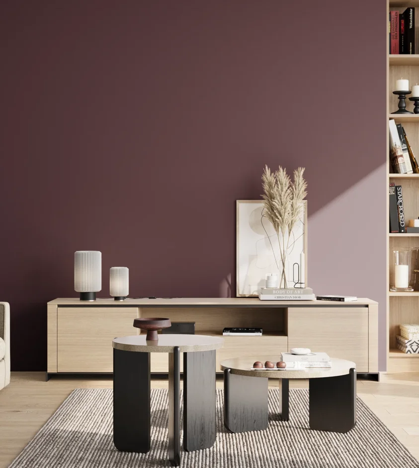 P10_SNIEZKA_salon_02_poludnie_GREY_S7020-R30B