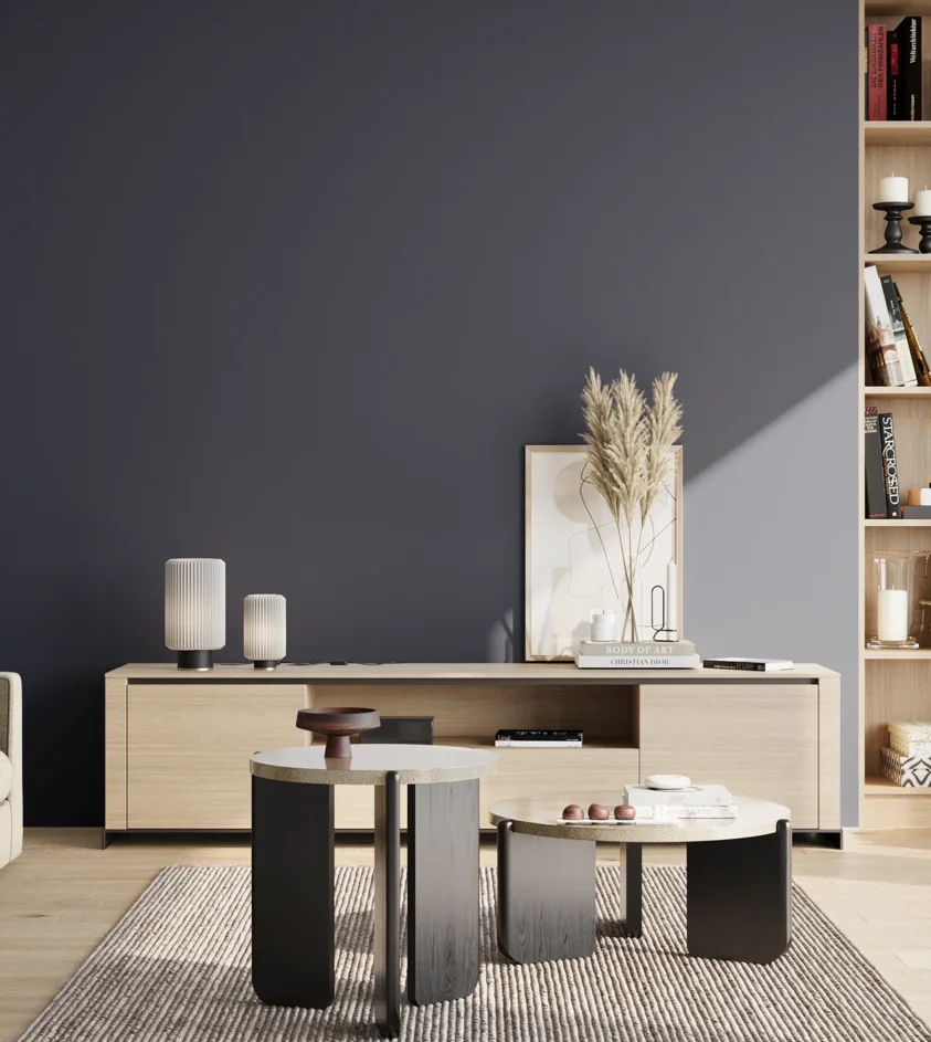 P10_SNIEZKA_salon_02_poludnie_GREY_S7020-R80B