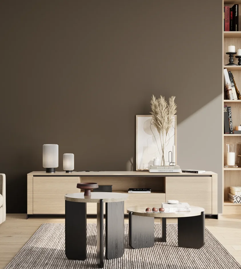 P10_SNIEZKA_salon_02_poludnie_GREY_S8005-Y20R