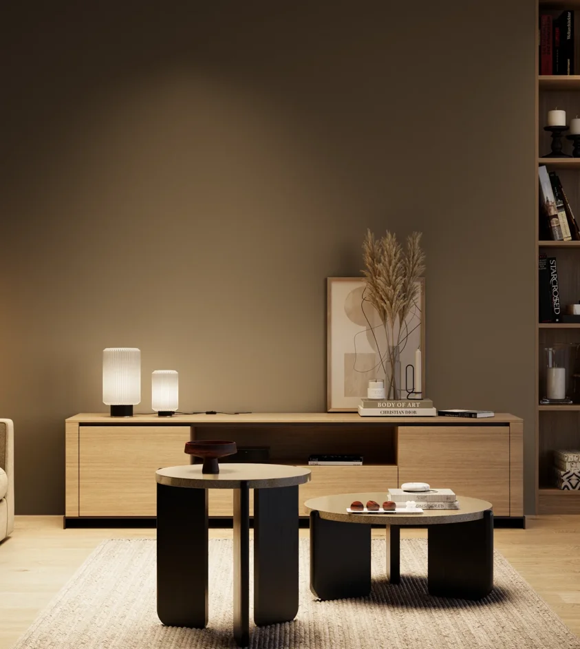 P10_SNIEZKA_salon_04_cieple_GREY_S8010-Y10R
