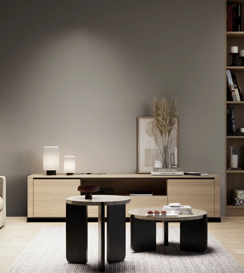 P10_SNIEZKA_salon_05_zimne_GREY_S5502-Y20R