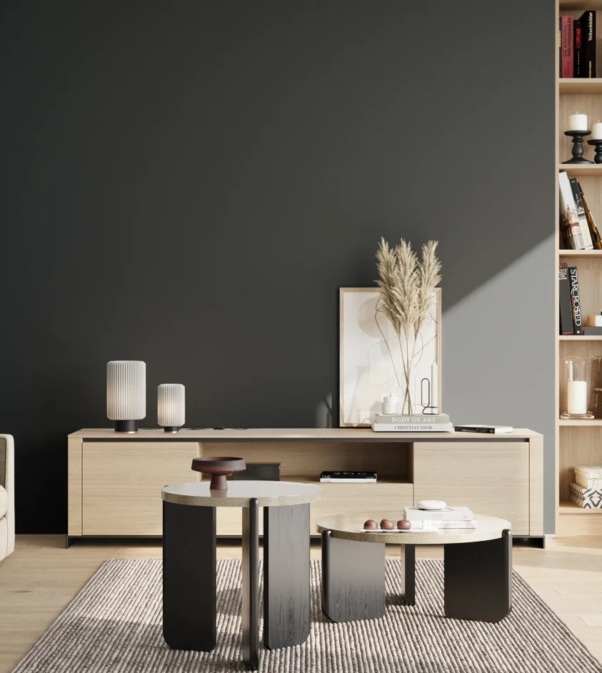 P10_SNIEZKA_salon_02_poludnie_GREY_S8005-B