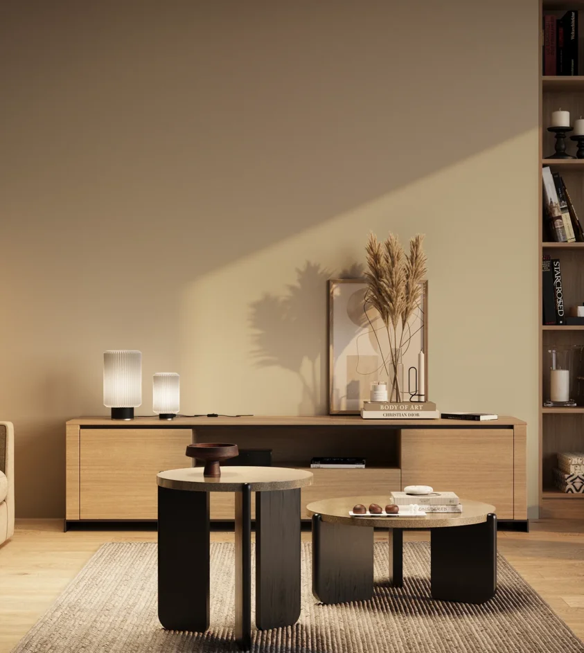P10_SNIEZKA_salon_03_wieczor_GREY_RAL1013