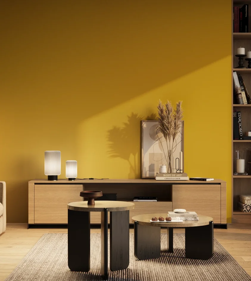 P10_SNIEZKA_salon_03_wieczor_GREY_RAL1021