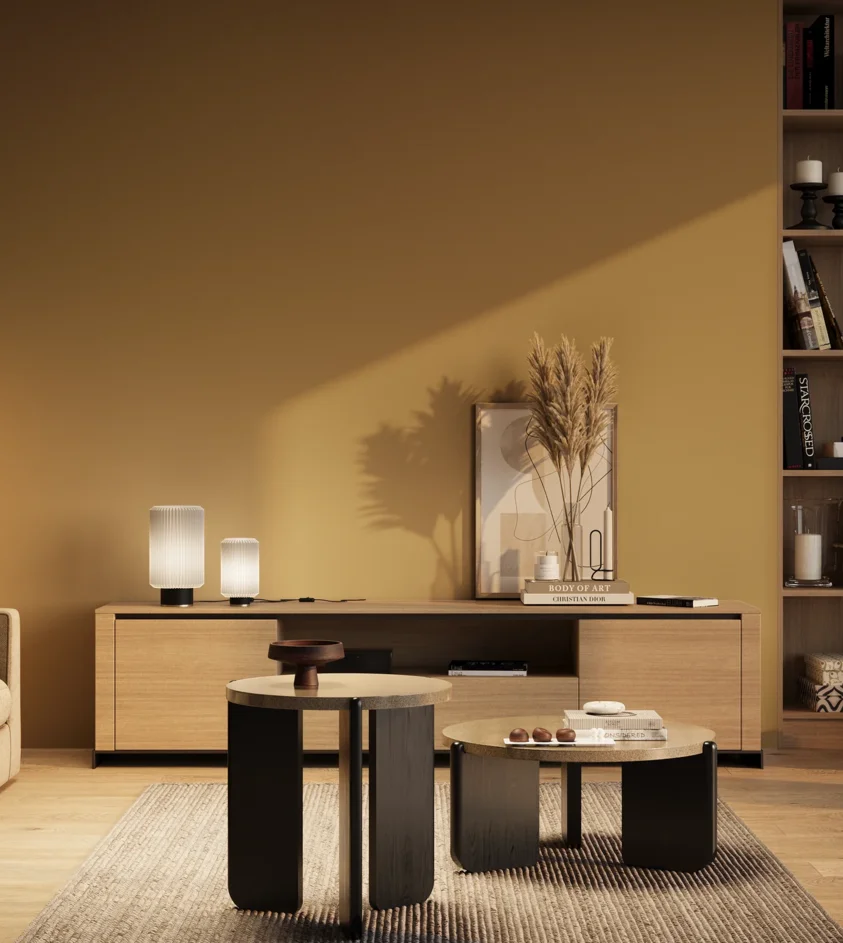 P10_SNIEZKA_salon_03_wieczor_GREY_RAL1024