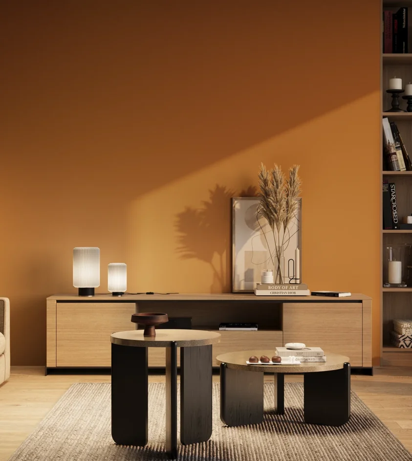 P10_SNIEZKA_salon_03_wieczor_GREY_RAL2000