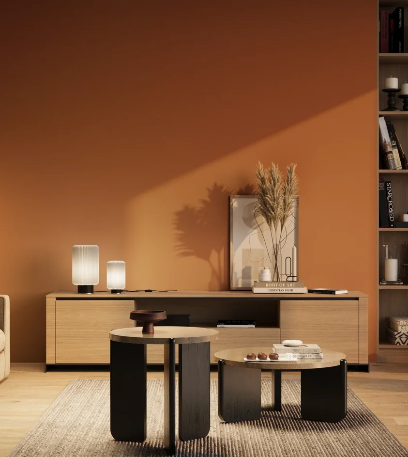 P10_SNIEZKA_salon_03_wieczor_GREY_RAL2010