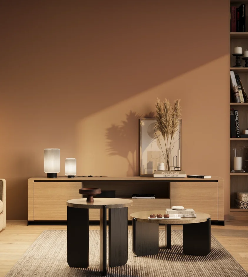 P10_SNIEZKA_salon_03_wieczor_GREY_RAL3012